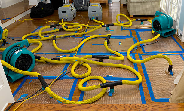 Professional Emergency Water Removal technician working in Burtonsville, MD